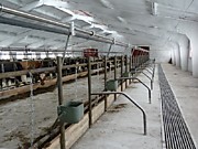 стойловое оборудование изготавливаем в Иркутске
   
    стойловое оборудование изготавливаем в Иркутске